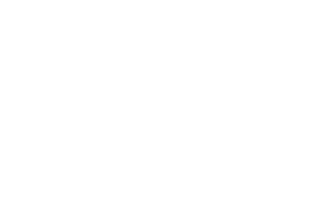 JEBEL ALI FREE ZONE (JAFZA)